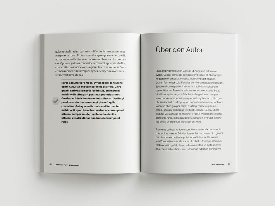 martin zech design, buchgestaltung, gsa experts edition, leitfaden, innenseiten 7