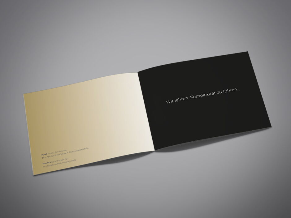 martin zech design, corporate design, pontea, firmenbroschuere, doppelseite 1