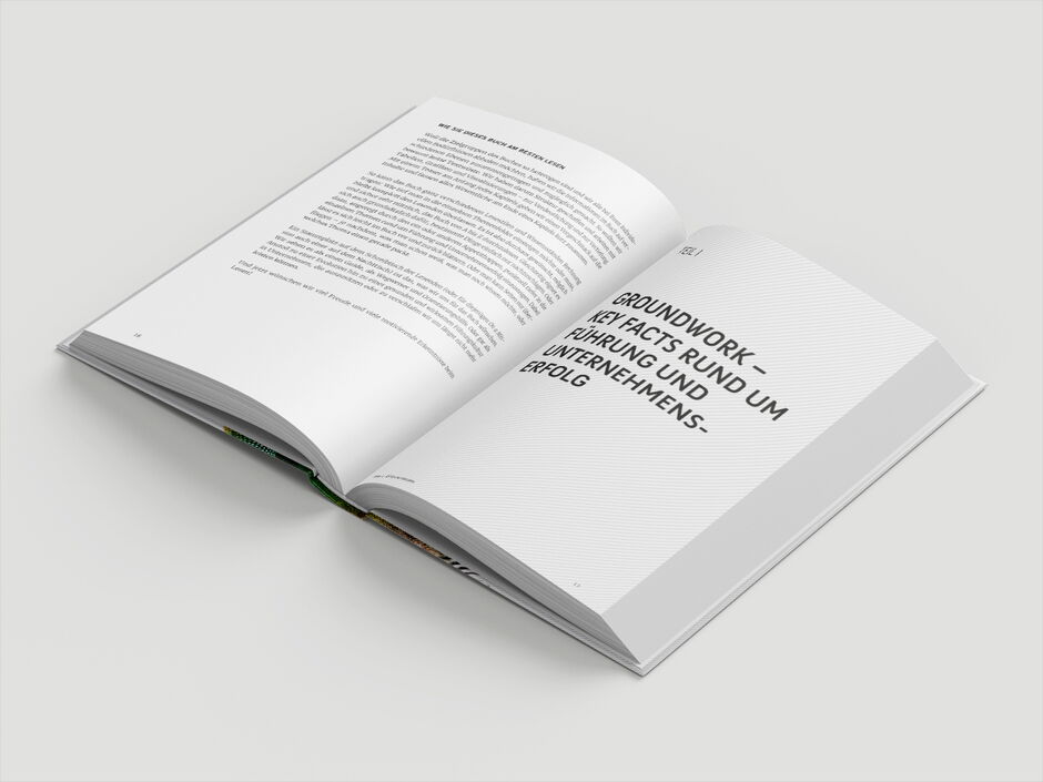 martin zech design, buchgestaltung, tanzer, vogt, mildner, lead now, innenseiten 3
