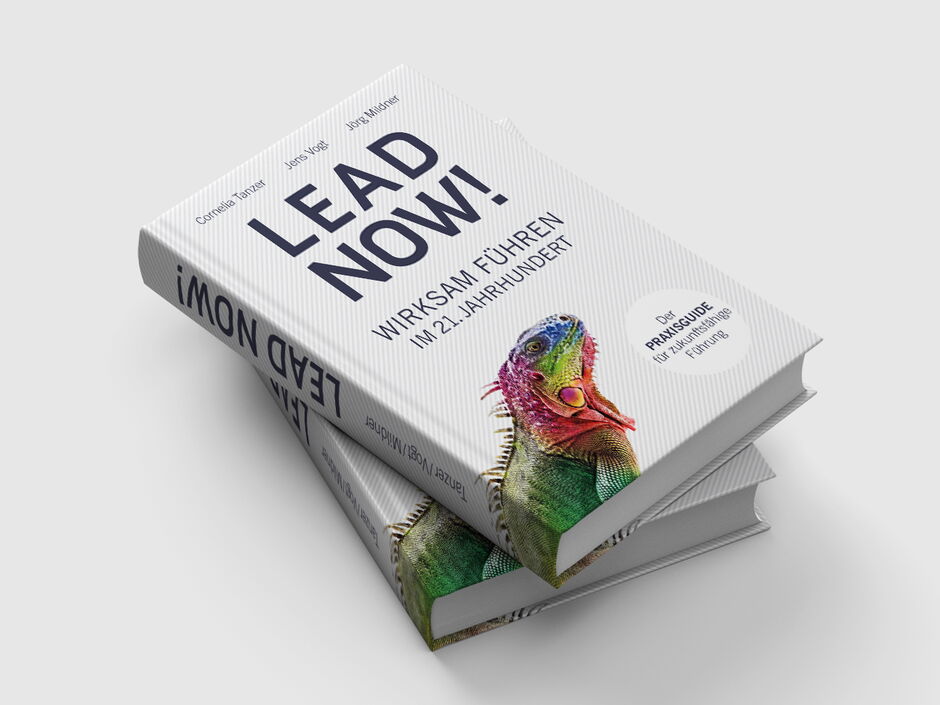 martin zech design, buchgestaltung, tanzer, vogt, mildner, lead now, cover