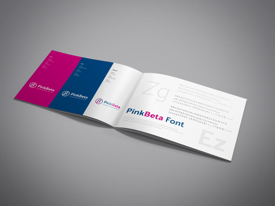 martin zech design, corporate design, pink-beta, styleguide, doppelseite 2
