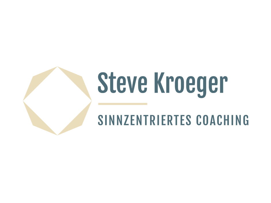 martin zech design, corporate design, steve kroeger coaching, logo, positiv