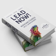 martin zech design, buchgestaltung, tanzer, vogt, mildner, lead now, cover