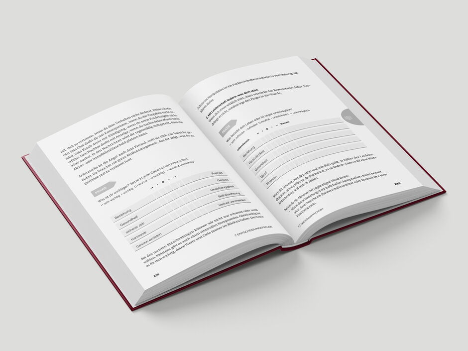 martin-zech-design, buchgestaltung, franz czink, pro erfolg, innenseiten 10
