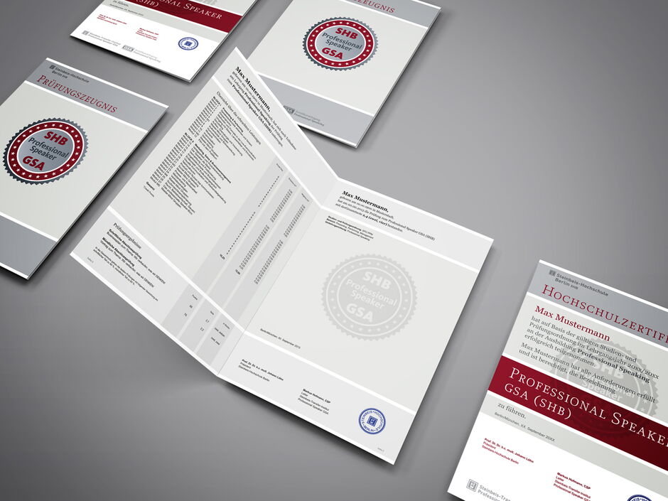 martin_zech_design_projekt_design_german_speakers_association_lehrgang_hochschulzertifikat