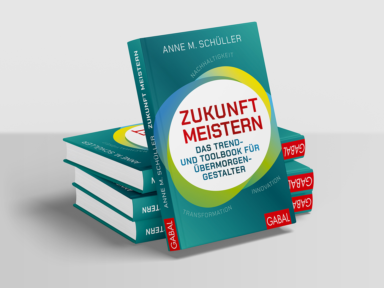 martin zech design, buchcover gestaltung, gabal verlag, schueller, zukunft meistern